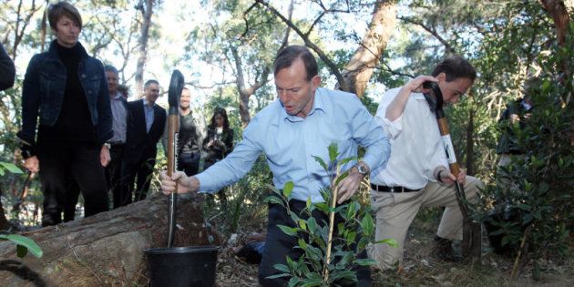 Then Prime Minister Tony Abbott launches the Green Army initiative in August 2014.