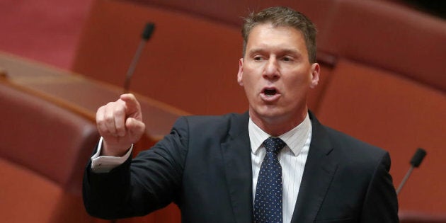 Senator Cory Bernardi says the only thing the climate review is going to do is cause division