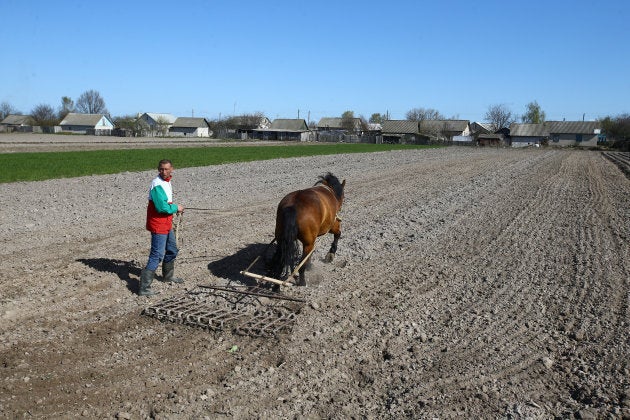 Nikolay Skidan harrows the field after it was sown with barley in the village of Khrapkovo, Belarus.