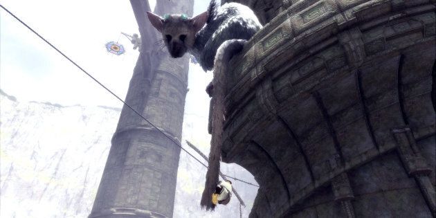 Trico and The Boy have a unique relationship.