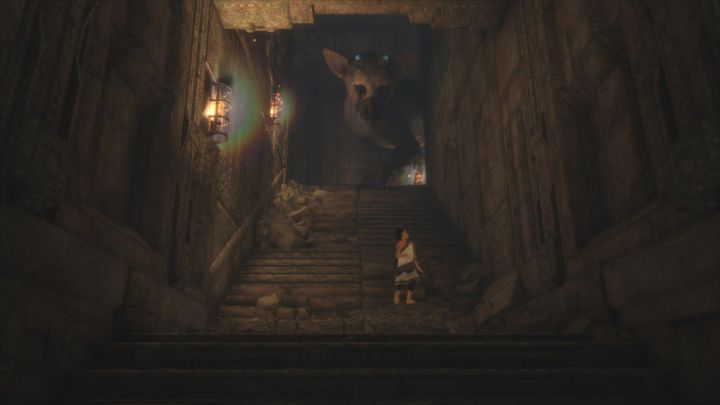 One you form a bond with Trico, he'll follow you almost everywhere.