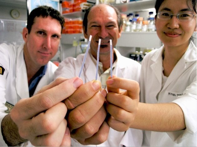 University of Queensland researchers Dr Michael Mason, Professor Jimmy Botella and Yiping Zhou were shocked to discover that you can extract DNA using dipsticks made of paper towel.