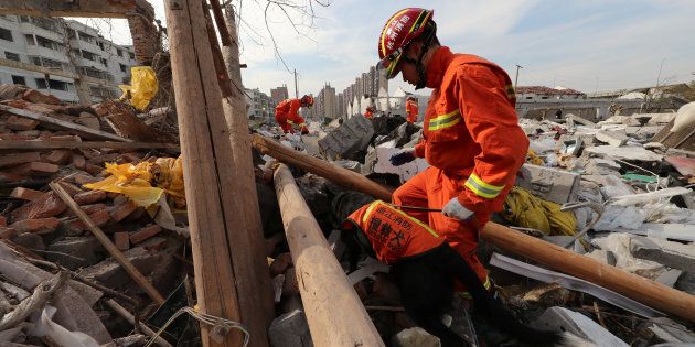 A rescue worker works with a rescue dog at the site of a blast in Ningbo, Zhejiang province, China.