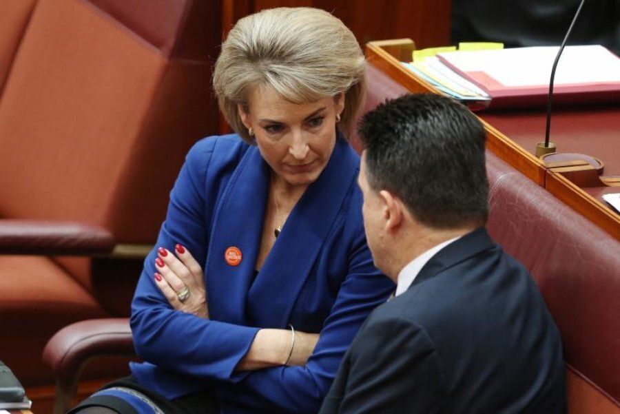 Michaelia Cash and Nick Xenophon during debate on the ABCC bill
