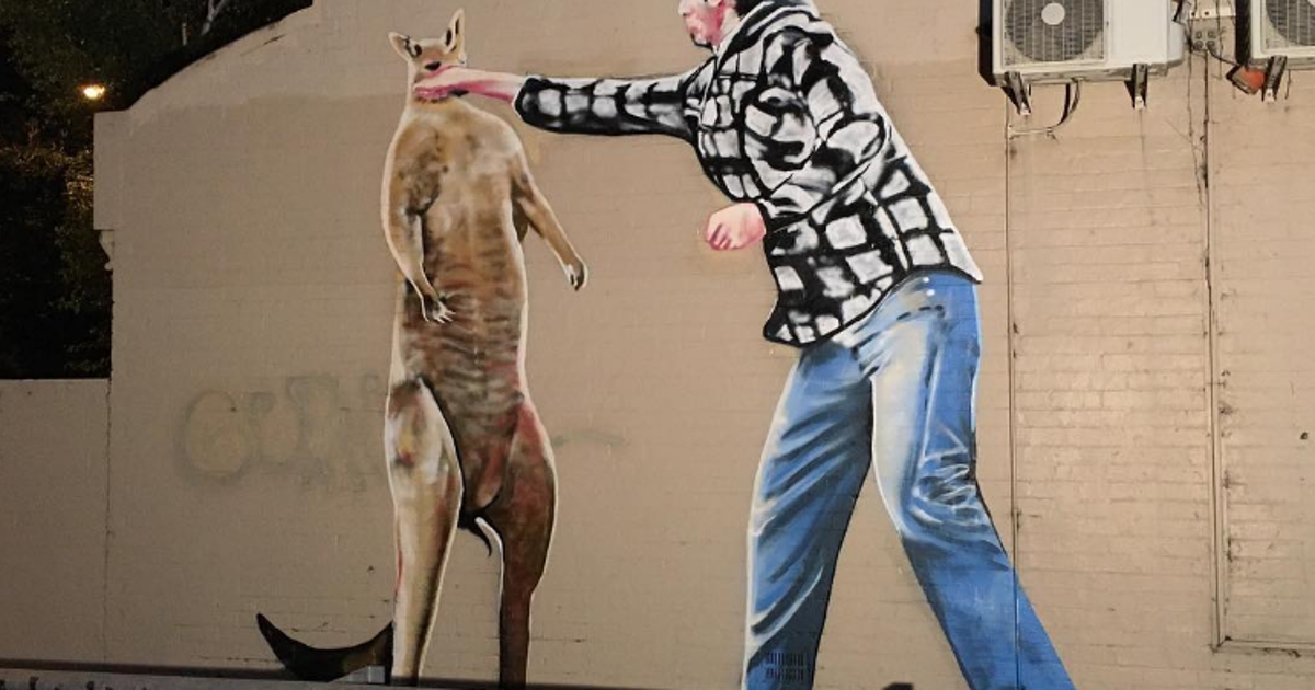 That Viral Kangaroo Punch Is Now A Trendy Mural In Melbourne HuffPost
