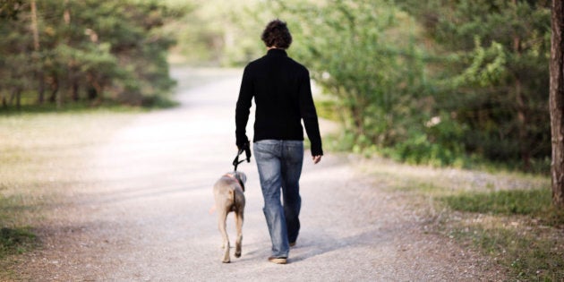 Pets are an important source of emotional support for many people with serious mental illness, a new study finds.