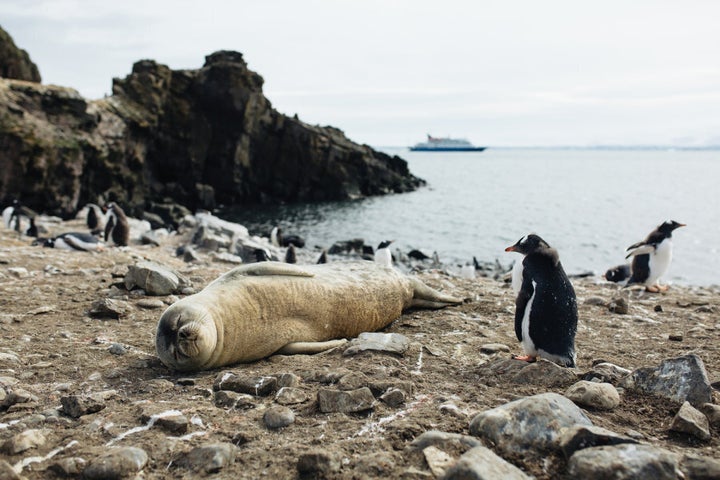 Photographed by John Bozinov in Antarctica.