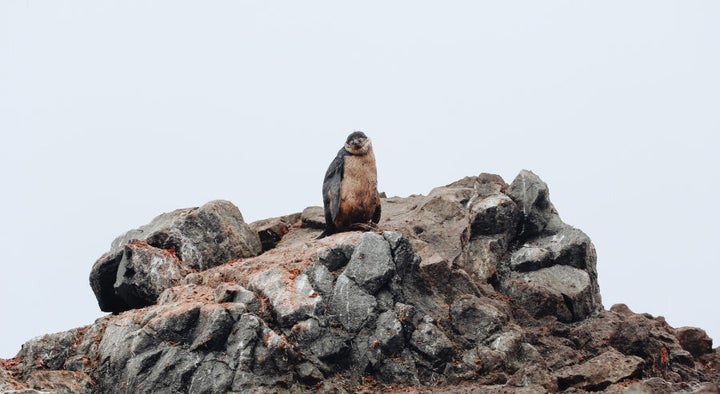 Photographed by John Bozinov in Antarctica.