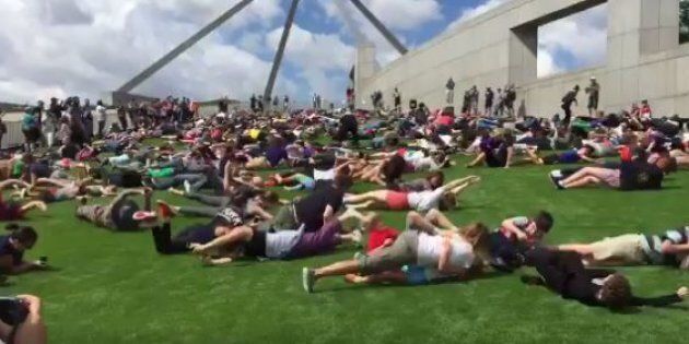 Hundreds have rolled down the Parliament House lawns in a lighthearted protest.