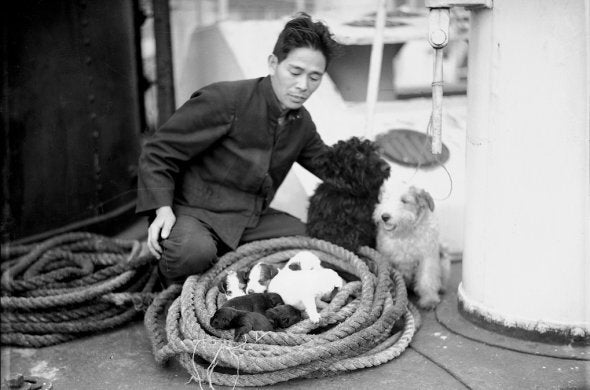 A seaman on boat Yahiko Maru watches a litter of puppies coiled in a rope.