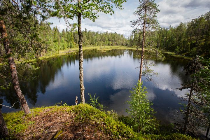 Oulanka National Park in norther Finland, where lakes and trees are abound.