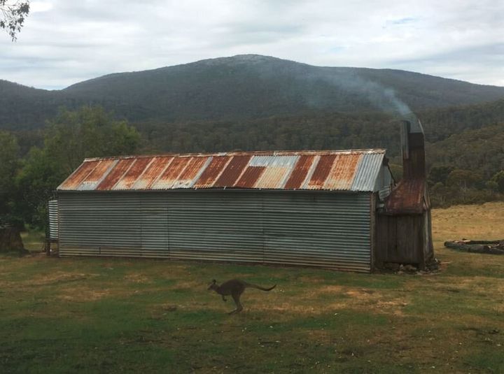 The back of Oldfield's Hut with Mt Bimberi in the background. The mountain is MUCH bigger than it looks.