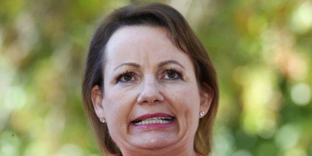 Sussan Ley has stood aside pending investigations.