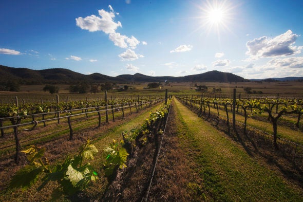 James Estate Winery in the Upper Hunter region of Baerami, New South Wales.