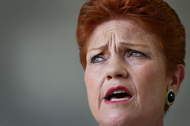 Senator Pauline Hanson's One Nation has a new member in Queensland MP Steve Dickson
