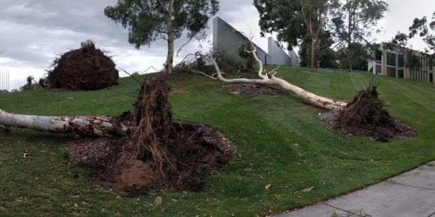 The Parliament House lawns had a tumultuous time on Friday afternoon.