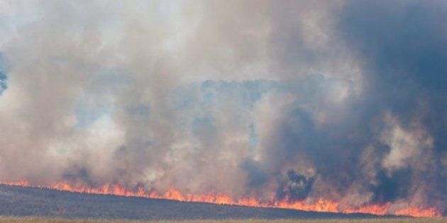Bushfires have swept through thousands of hectares near Tarago