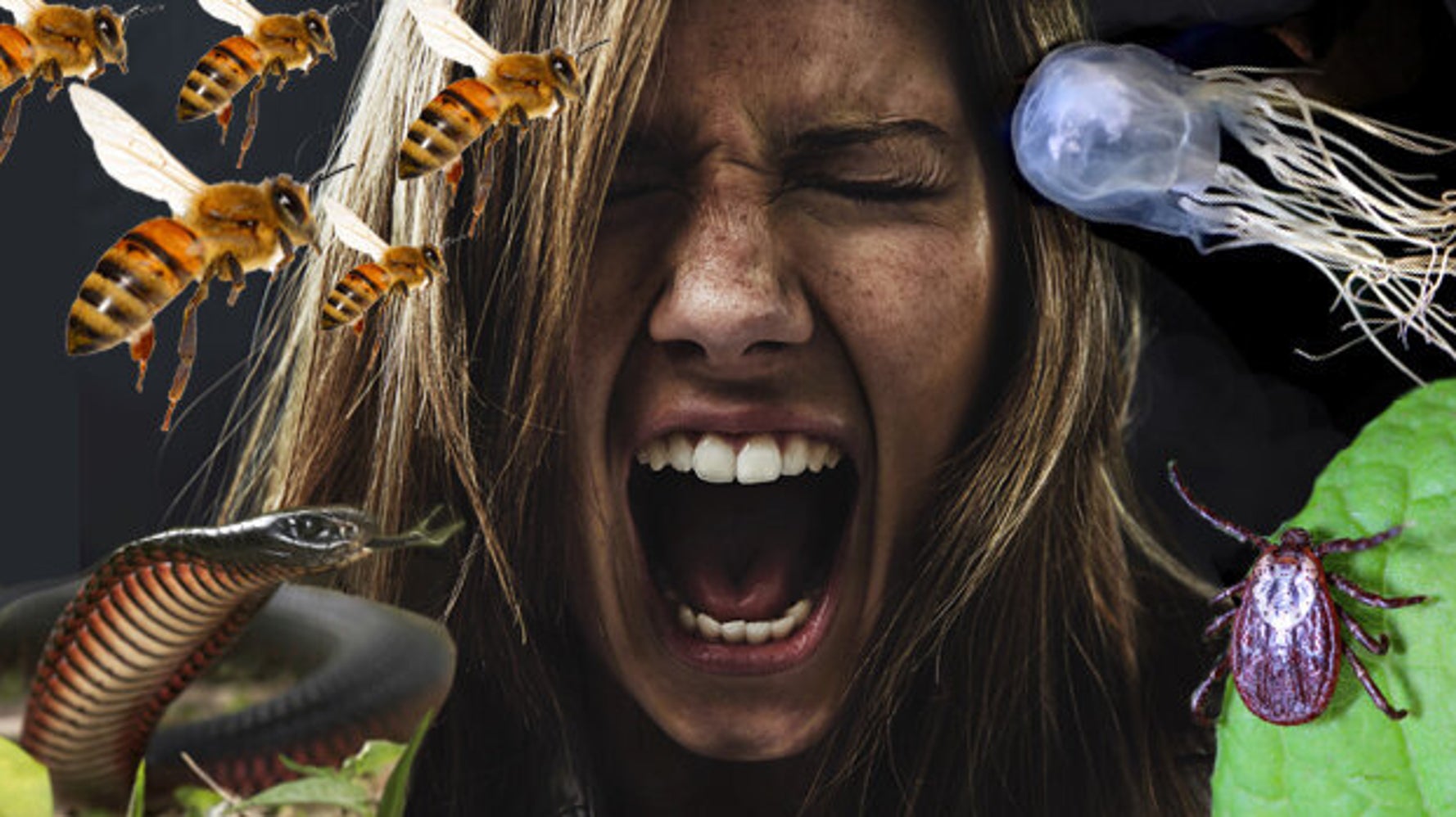 Everything In Australia Wants To Kill You, In This Order | HuffPost Latest News Everything In Australia Wants To Kill You, In This Order | HuffPost Latest News