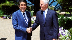 Turnbull And Abe Forgot To Discuss The Whale In The