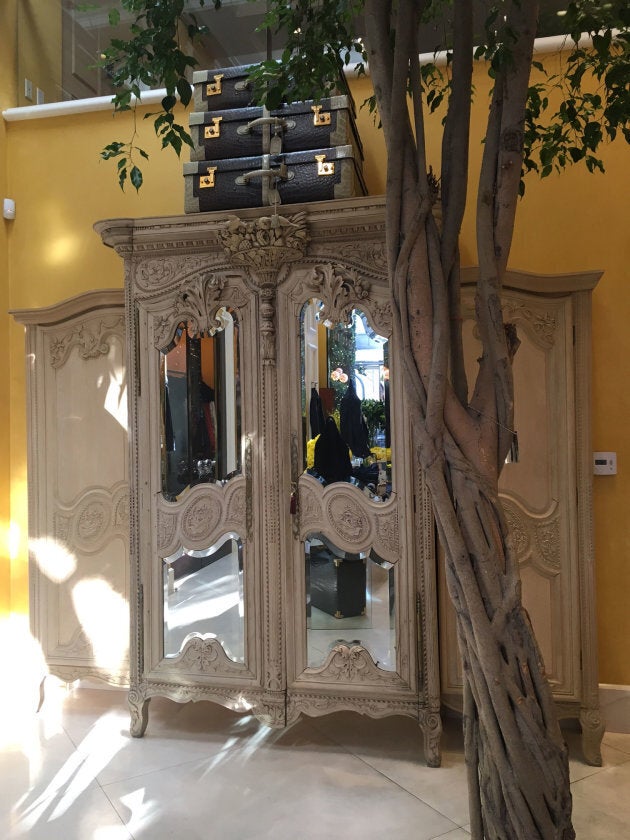 The armoire dressing room and Benjamina tree