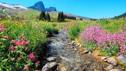 Eight North American Road Trips That Will Inspire You To Travel