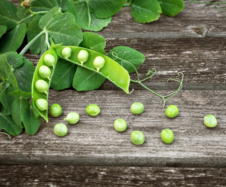 You better believe it, peas are legumes.