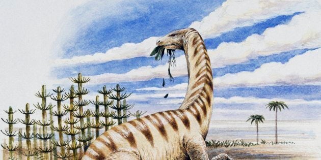 UNSPECIFIED - FEBRUARY 17: Lufengosaurus huenei, Massospondylidae, Early Jurassic. Illustration. (Photo by DeAgostini/Getty Images)