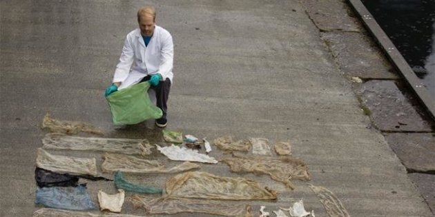 Scientist reveals the plastic bags pulled from the intestines of a beached goose-beaked whale in Norway.