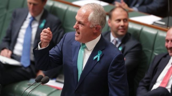 Malcolm Turnbull let loose on Bill Shorten in Parliament on Wednesday.