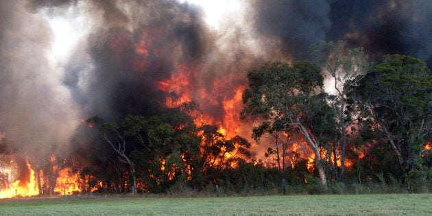 A bushfire has razed most of the small NSW town of Uarbry.