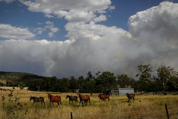 Smoke from the Sir Ivan fire east of Dunedoo, NSW, seen from Coolah, on Sunday. Photo: Alex Ellinghausen