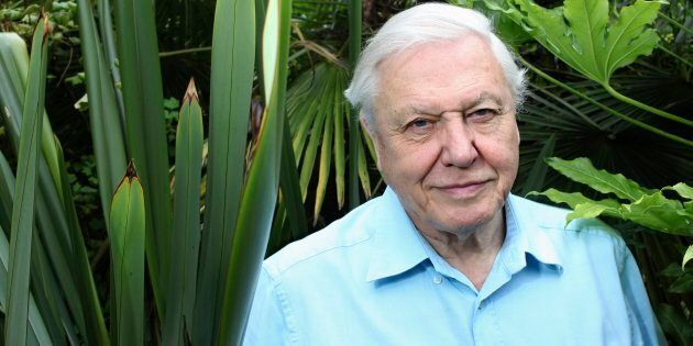 David Attenborough listens like he has all the time in the world.