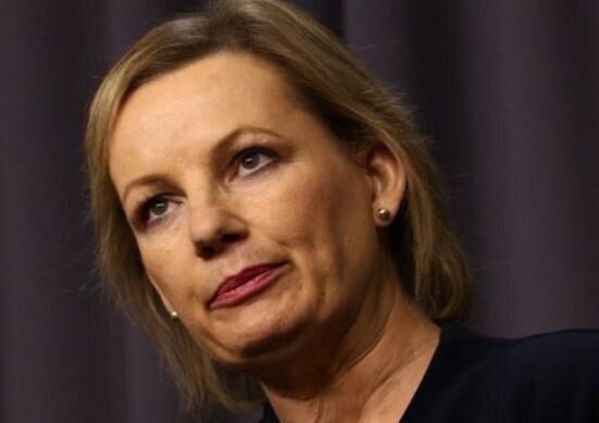 Former Health Minister Sussan Ley.