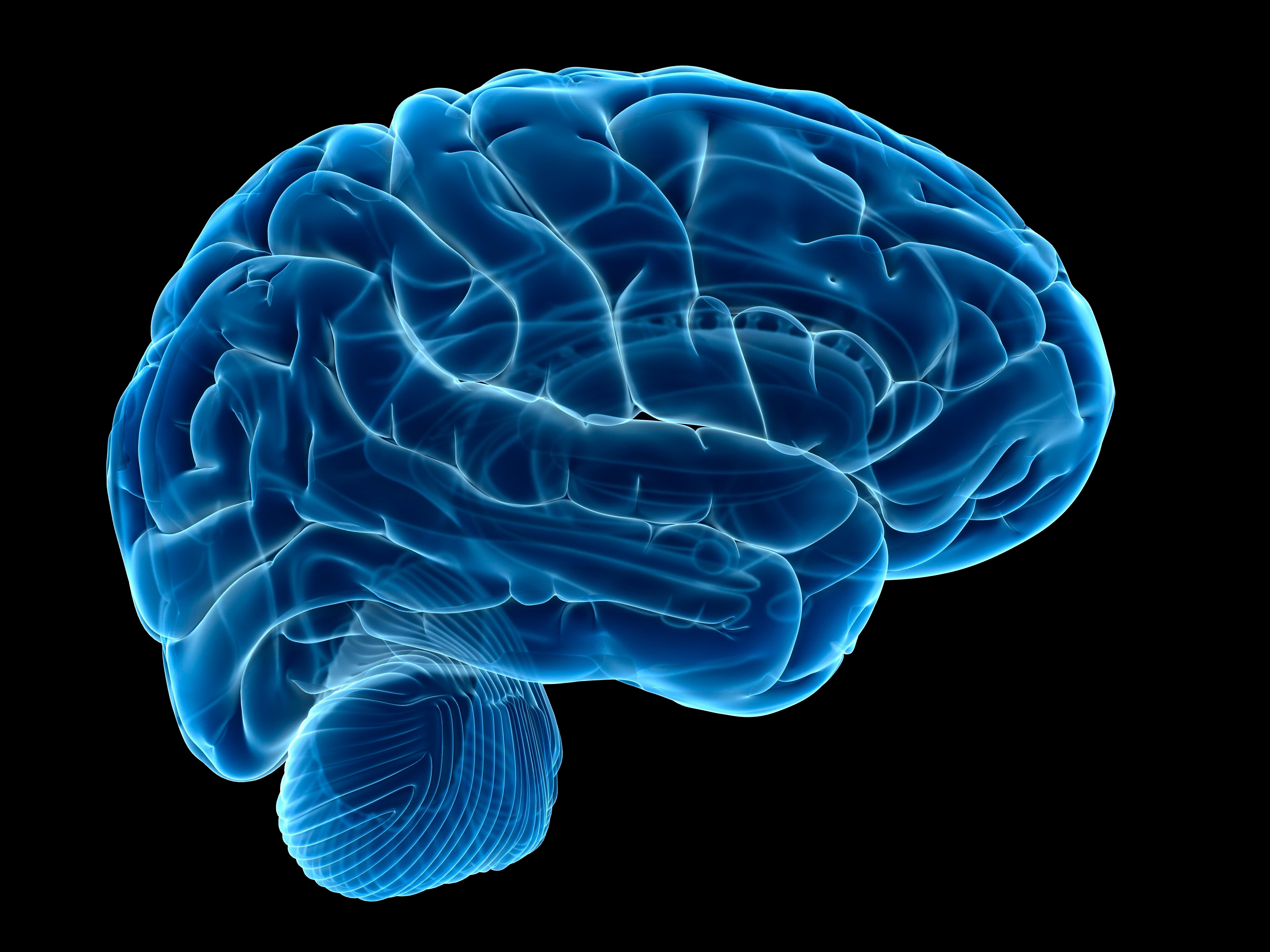 medical brain app medical brain app