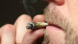 We Would Be Dopes To Legalise