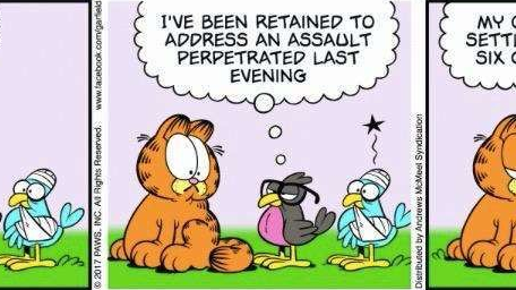 The Is Going Crazy Over Garfield The Cat's Gender HuffPost