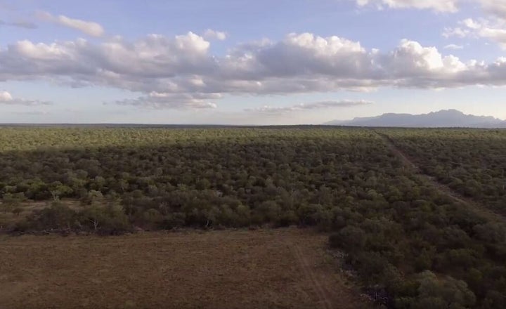 Does this South African landscape remind anyone else of Australia?