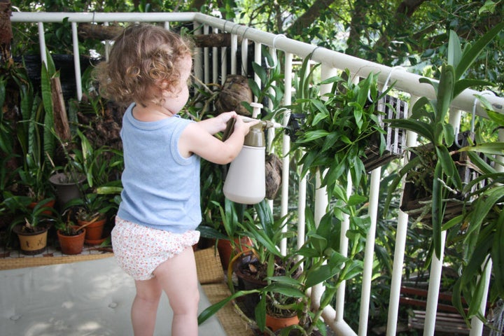 Watering my orchid collection, on Lamma Island.