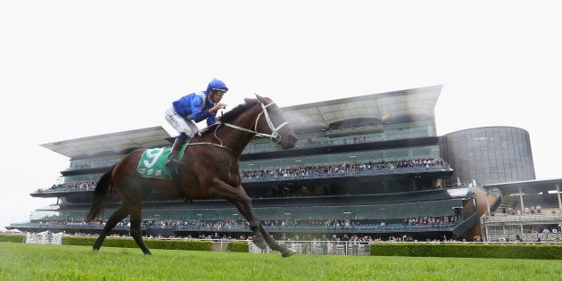 Winx has made it 16 consecutive wins at Rosehill on Saturday