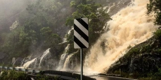 Impassable: Waterfalls flood the roads at Dorrigo National Park on Saturday.