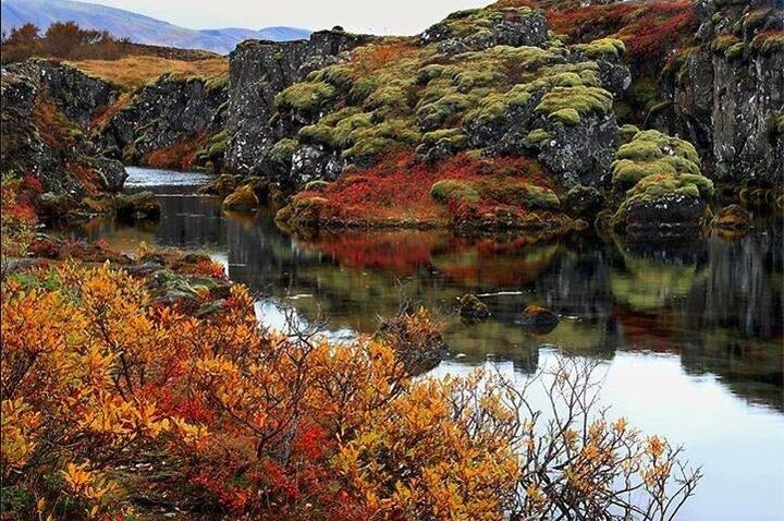 Thingvellir National Park is stunning all year round.