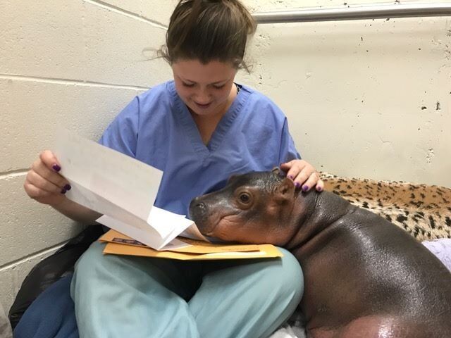 Fiona takes time out to read some of her fan mail.