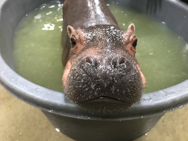 Bath time!