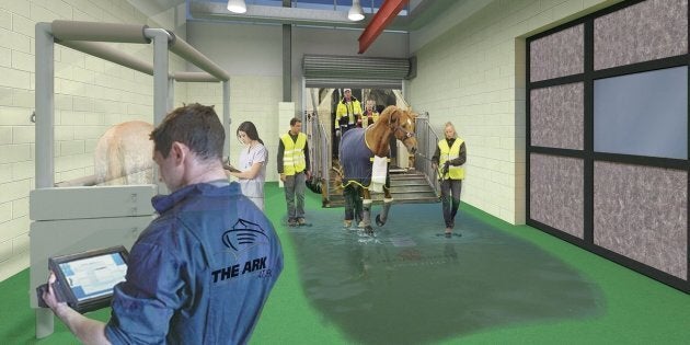 At The Ark, horses can get groomed and enjoy a meal of hay before their next flight.