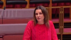 Jacqui Lambie Gets Everyday Aussies. The Turnbull Government Does