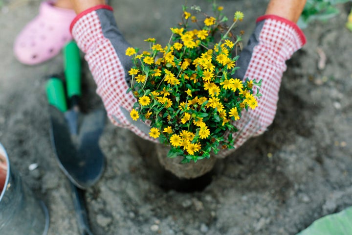 Gardening burns energy without you even trying.