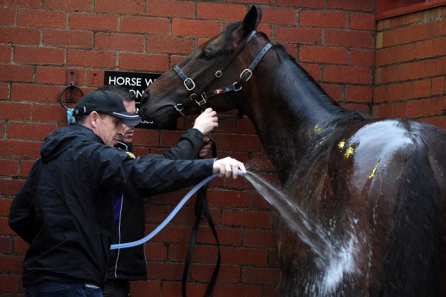 When Chris Waller hoses you, he hoses you properly.