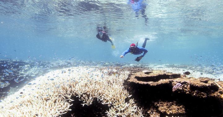 Climate Council: The devastating 2016 GBR bleaching was at least 175 times more likely due to climate change.