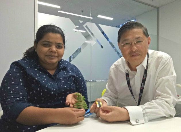 Professor Min Gu (right) and PhD researcher Litty Thekkekara with the electrode prototype.