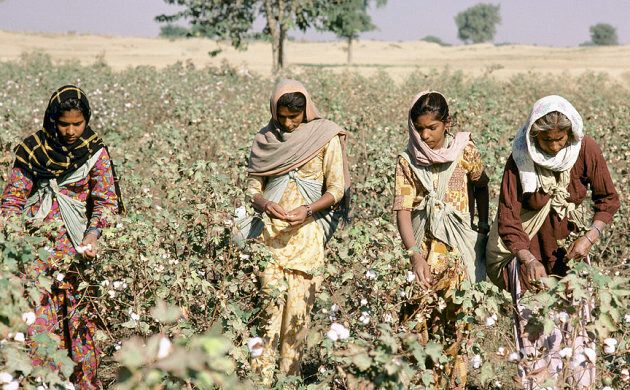 Only 7 percent of brands know where thier cotton comes from.